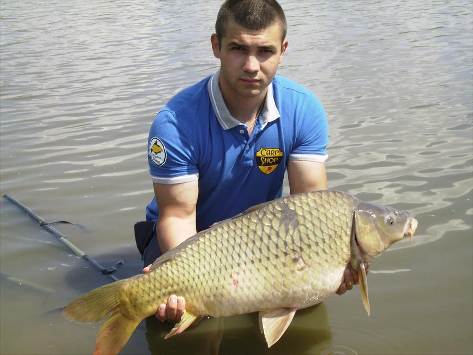 Forest Squid si "Dulapii" de la Greaca